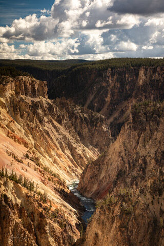 Yellowstone National Park