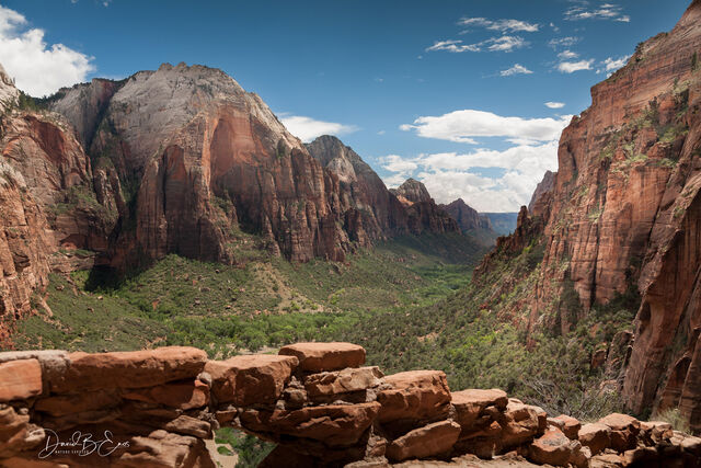 Zion National Park print