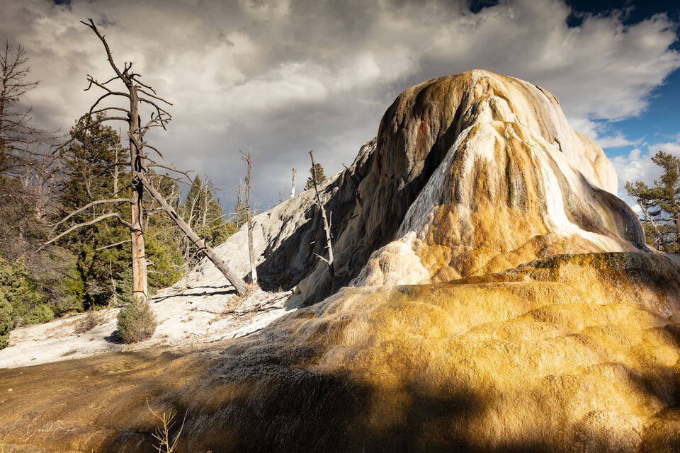 Yellowstone National Park print